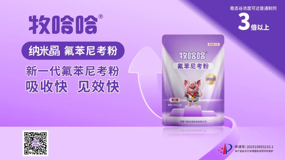 首页 21 1761033428 640