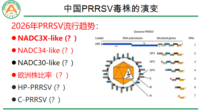 frc 3de2e8f99ab5b545a7bbe3f352c2f32b